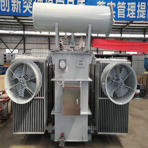 白城S20-8000KVA变压器